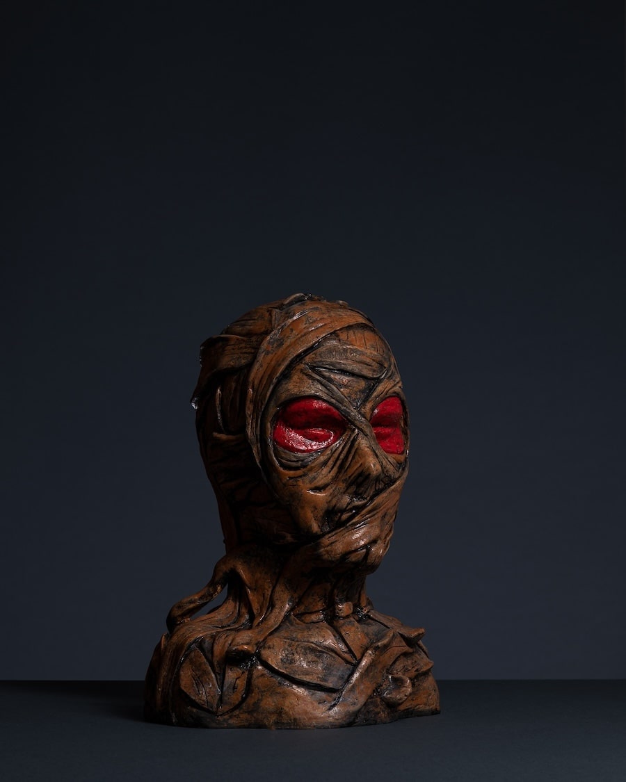 Tajni čuvar - preview back